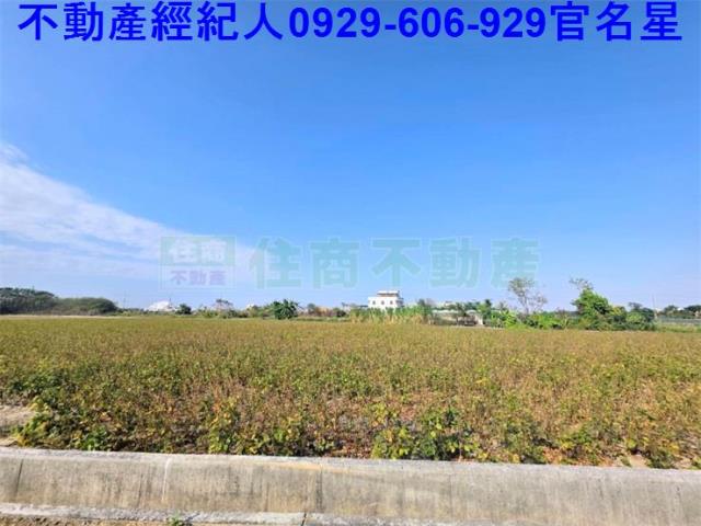 嘉義農地-7