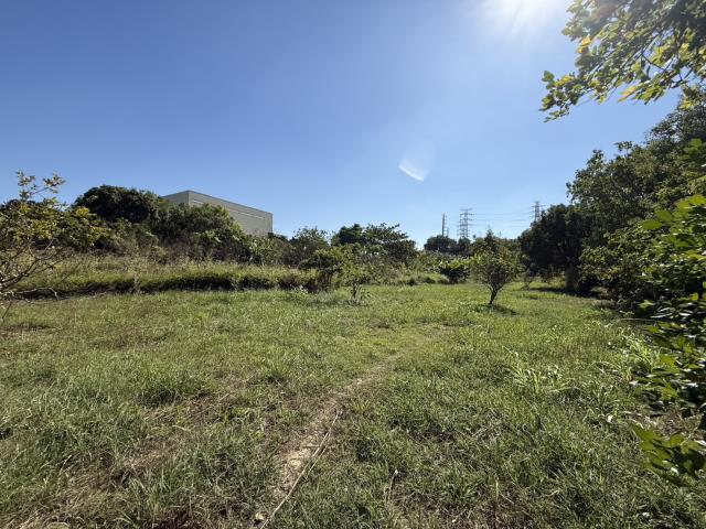 高雄岡山農地-1