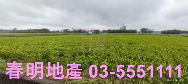 新竹新豐農地-1