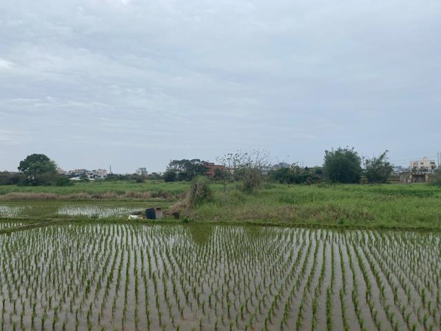桃園農地-9