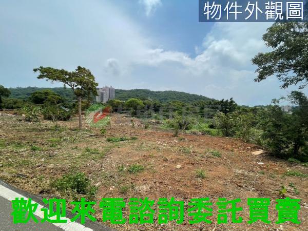 新北淡水農地-3