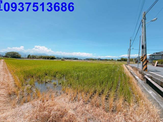 宜蘭五結農地-8