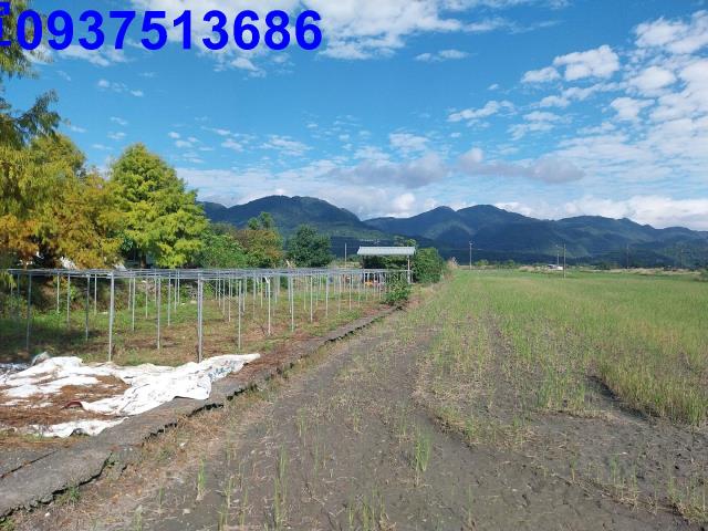 宜蘭三星農地-5