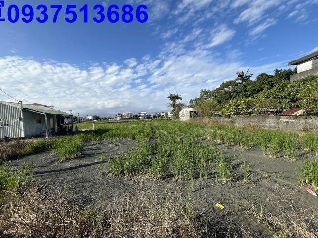 宜蘭羅東農地-15