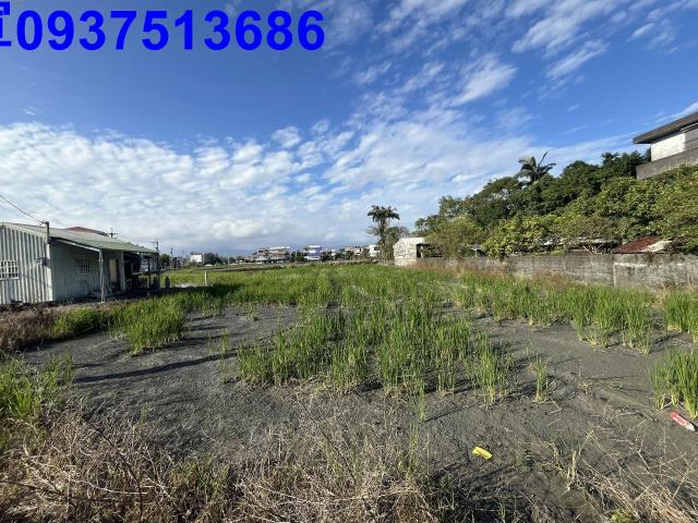 宜蘭羅東農地-3