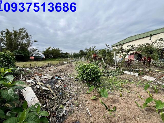 宜蘭壯圍農地-10