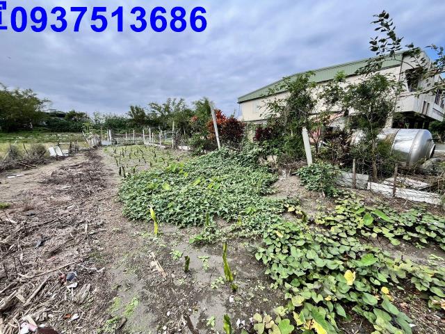 宜蘭壯圍農地-1