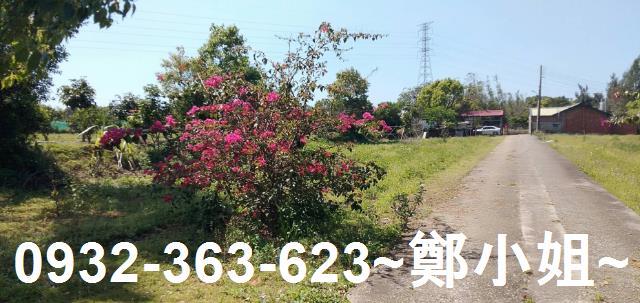 苗栗通霄農地-10