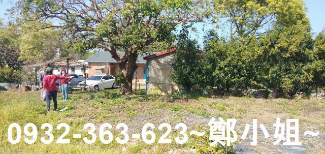 苗栗通霄農地-11