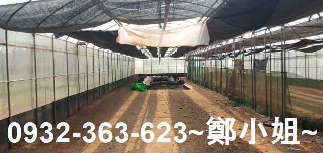 苗栗通霄農地-4