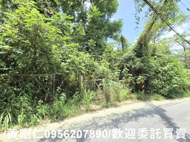 台南左鎮農地-9