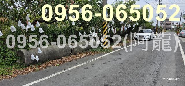 高雄湖內農地-2