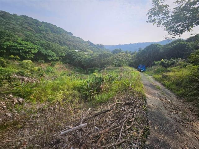 高雄大樹農地-6