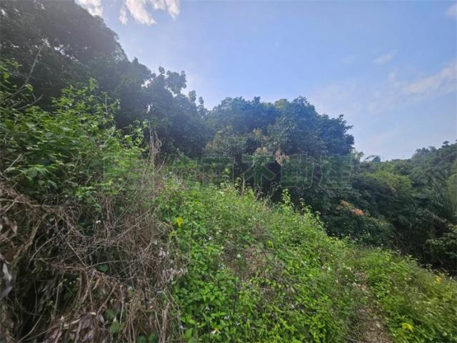 高雄大樹農地-10