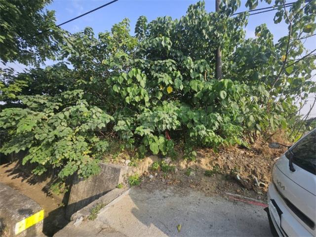 高雄大樹農地-5