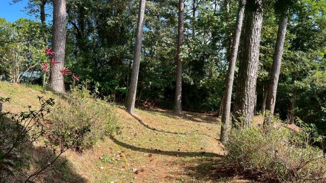 新竹北埔山坡地-14