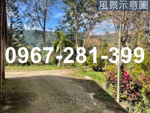 苗栗南庄農地-6