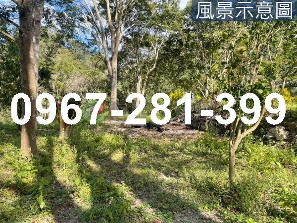 苗栗南庄農地-9