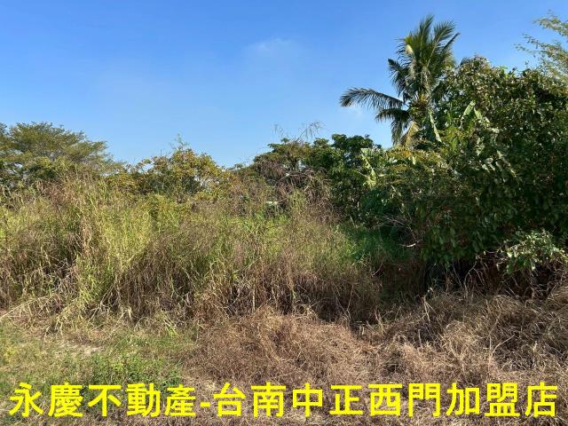 台南新化農地-12