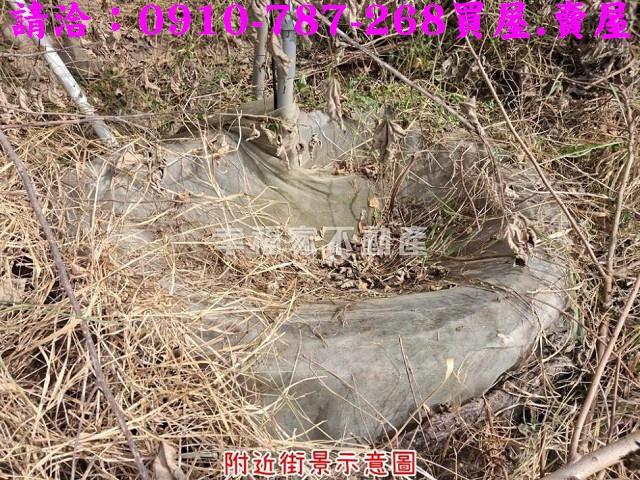 台南楠西農地-9