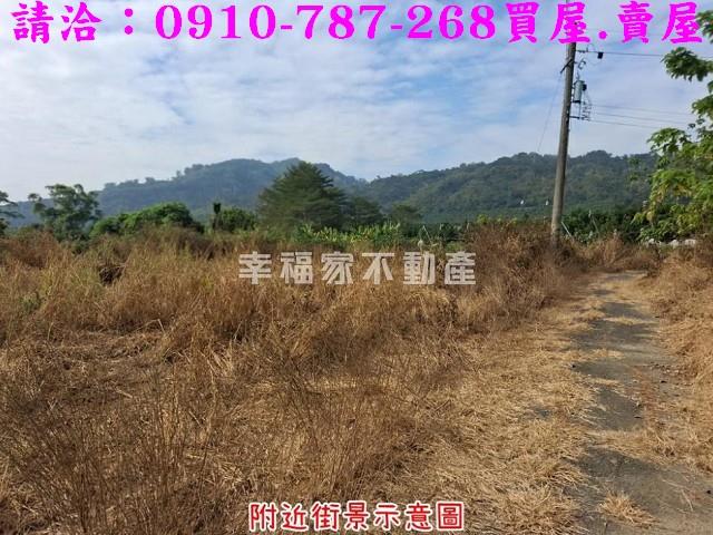 台南楠西農地-1