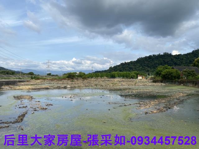 台中后里農地-2
