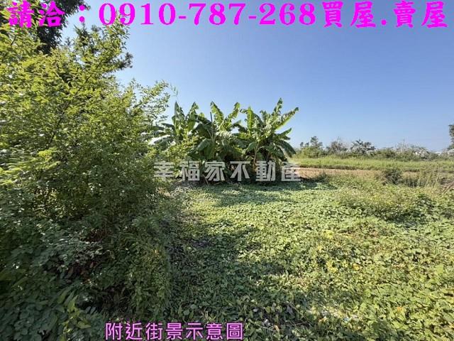 台南鹽水建地-9