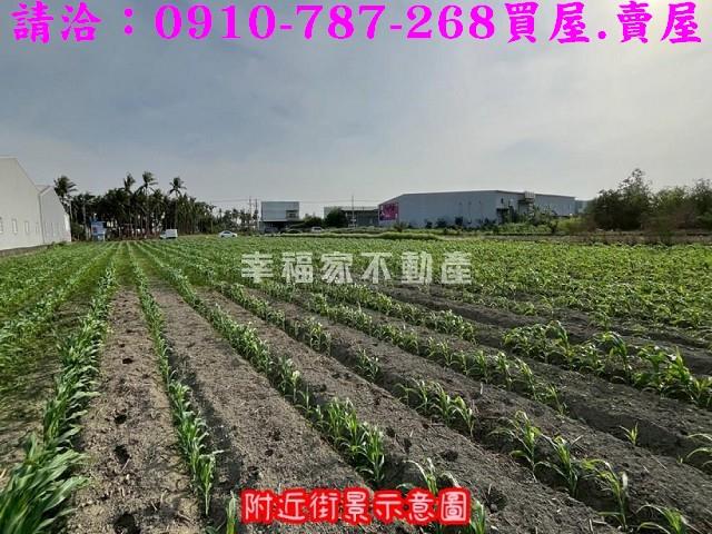 台南安南農地-7