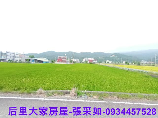 苗栗苑裡農地-5