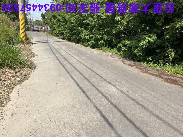 台中后里農地-4
