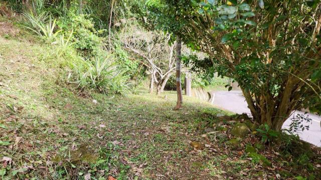 新竹北埔山坡地-8