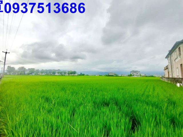 宜蘭宜蘭市農地-3