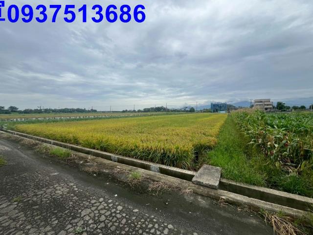 宜蘭員山農地-10