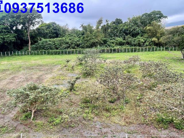 宜蘭頭城工業地-9