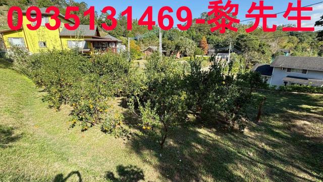 新竹峨眉農地-7