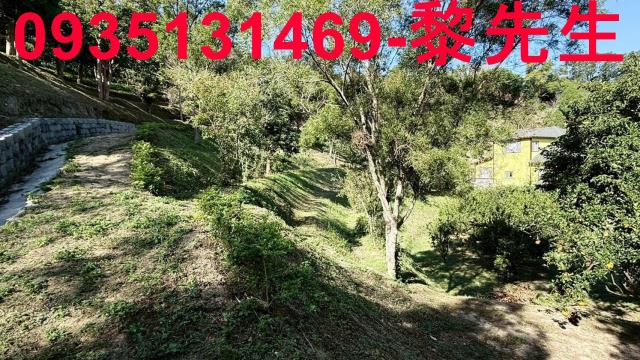 新竹峨眉農地-5