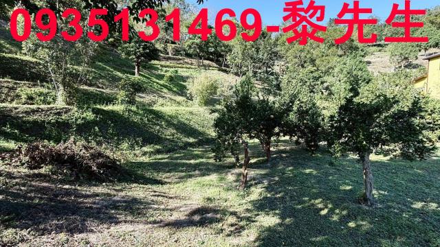 新竹峨眉農地-7