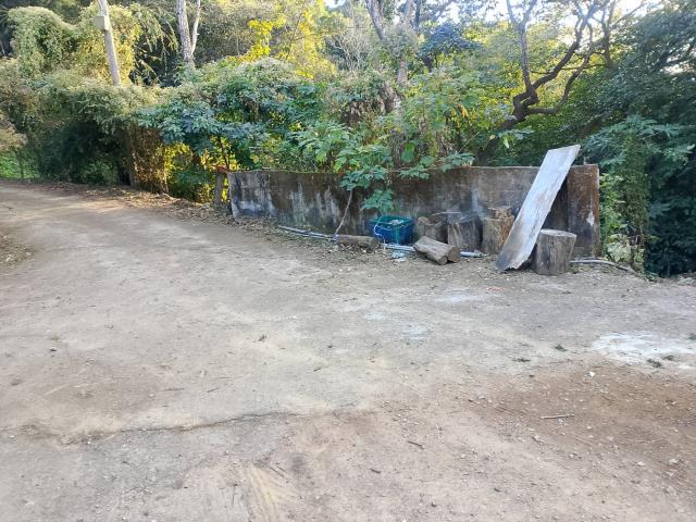 台中太平農地-14