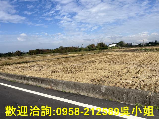 新竹新豐農地-4