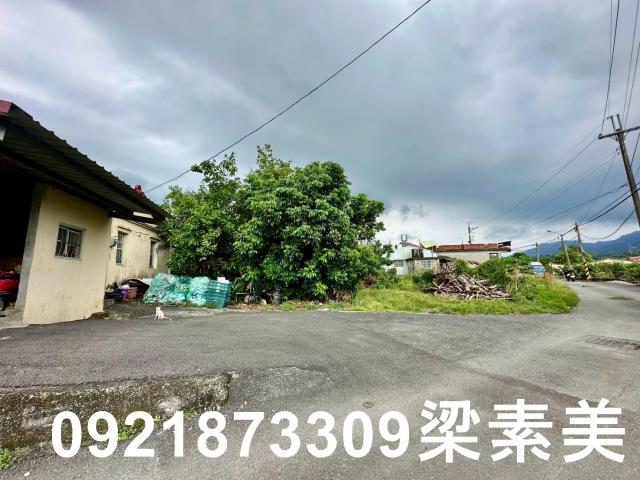 台南玉井建地-12