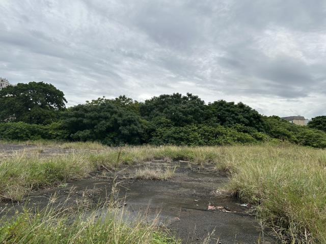 苗栗竹南工業地-2