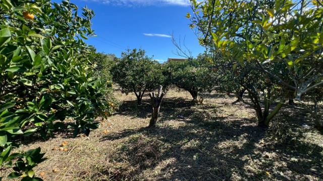 苗栗頭份農地-12