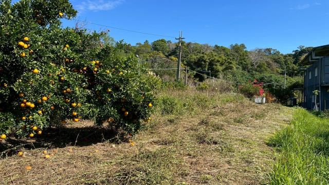 苗栗頭份農地-8