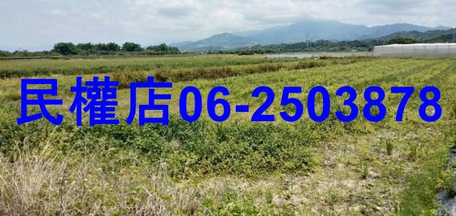 台南東山農地-1