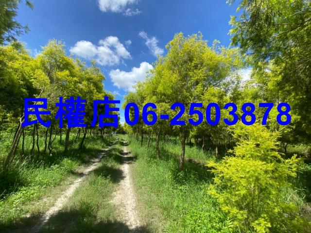 台南六甲農地-4