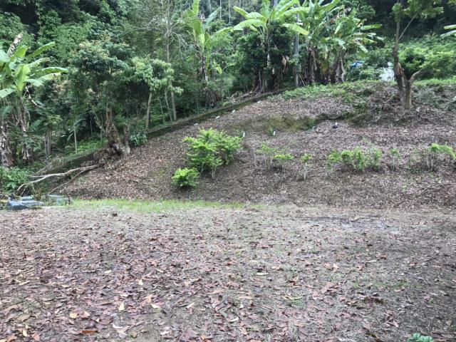 南投南投市農地-12