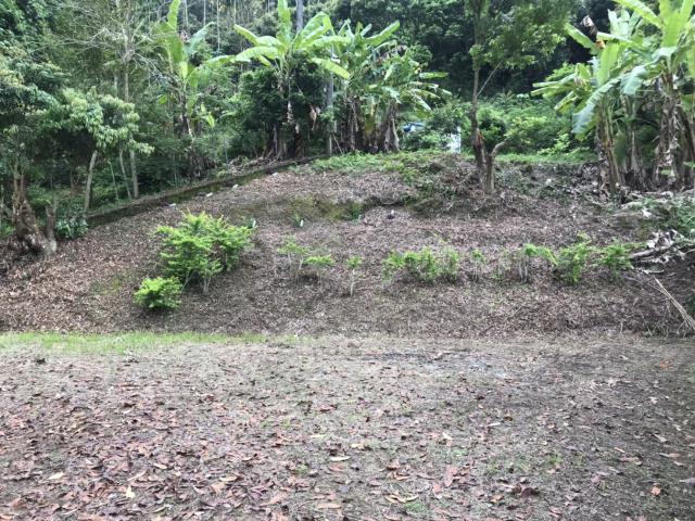 南投南投市農地-13