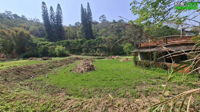 新竹北埔農地-1