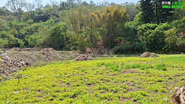 新竹北埔農地-13