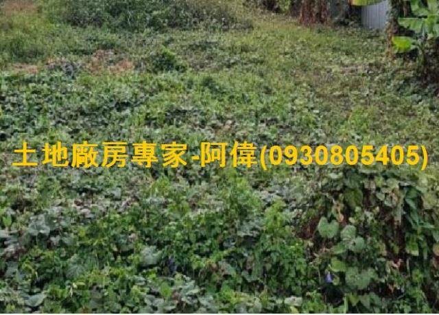 高雄林園住宅地-1